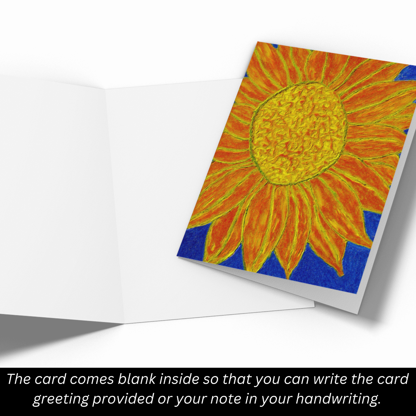 Sunflower Rays