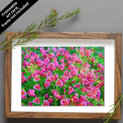 Magenta Greeting Card