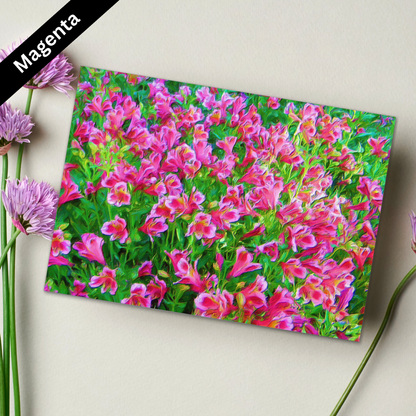 Magenta Greeting Card