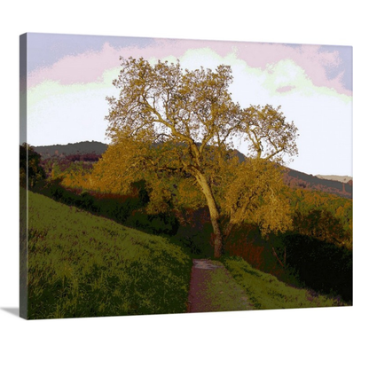 Wall Art: Rancho Path