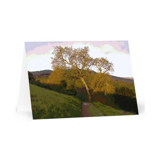 Card Title: Rancho Path